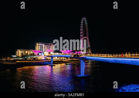 Vue panoramique de Bluewaters Island la nuit. Célèbre roue d'observation Ain Dubaï et promenade de la zone piétonne avec d'énormes champignons d'arbres lumineux au néon, du Banque D'Images