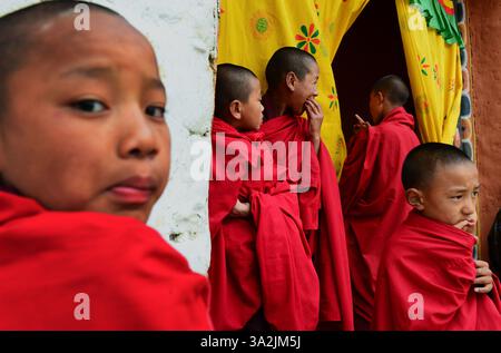 13 avril 2014 - Paro, Bhoutan - moines bouddhistes près du monastère de Paro Dzong dans le Royaume du Bhoutan. Le bouddhisme pratiqué dans le pays aujourd'hui est une religion vibrante qui imprègne presque toutes les facettes du style de vie bhoutanais. (Crédit image : © Prasanta Biswas/ZUMA Wire/ZUMAPRESS.com) Banque D'Images