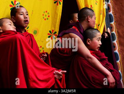 13 avril 2014 - Paro, Bhoutan - moines bouddhistes près du monastère de Paro Dzong dans le Royaume du Bhoutan. Le bouddhisme pratiqué dans le pays aujourd'hui est une religion vibrante qui imprègne presque toutes les facettes du style de vie bhoutanais. (Crédit image : © Prasanta Biswas/ZUMA Wire/ZUMAPRESS.com) Banque D'Images
