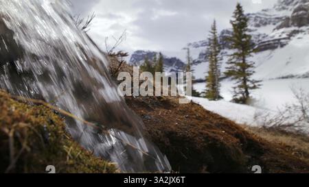20 mai 2014 - Calgary (Alberta), Canada - L'eau de source se déverse dans le lac Bow au nord de Lake Louise, Alta., le mardi 20 mai 2014. Le lac Bow est à la source de la rivière Bow. Mike Drew/Calgary Sun/QMI Agency (image de crédit : © Mike Drew/QMI Agency/ZUMAPRESS.com) Banque D'Images