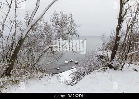Côte escarpée avec vue sur la mer Baltique calme dans la neige, Am Schwarzen Bush, Poel Island, Mecklembourg-Poméranie occidentale, Allemagne, Europe Banque D'Images