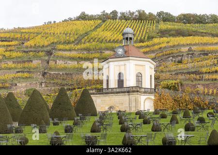 Belvédère du château de Wackerbarth avec Jacobstein et vignobles aux couleurs d'automne, Radebeul, Saxe, Allemagne, Europe Banque D'Images