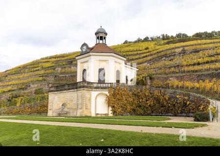 Belvédère du château de Wackerbarth avec Jacobstein et vignobles aux couleurs d'automne, Radebeul, Saxe, Allemagne, Europe Banque D'Images