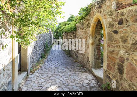 Ruelle étroite entre 2 murs à Altkoetzschenbroda, Radebeul, Saxe, Allemagne, Europe Banque D'Images