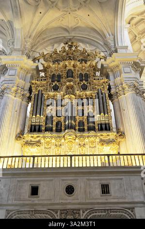 Santa Maria de la Encarnacion, Cathédrale de Grenade, vue intérieure, grand orgue baroque doré à l'intérieur d'une cathédrale, artistiquement conçu, Grenade, an Banque D'Images