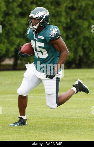 1er août 2014 : les Eagles de Philadelphie reviennent LeSean McCoy (25 ans) en action lors du camp d'entraînement des Eagles de Philadelphie au complexe NovaCare à Philadelphie, en Pennsylvanie. (Crédit image : © Chris Szagola/Cal Sport Media/ZUMAPRESS.com) Banque D'Images