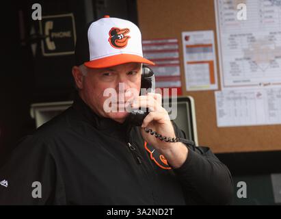 2 août 2014 - Baltimore, MD, États-Unis d'Amérique - Buck Showalter, directeur des Orioles de Baltimore (26). Seattle Mariners vs Baltimore Orioles à Oriole Park à Camden Yards à Baltimore, Maryland le 2 août 2014. Photo : Mike Buscher/Cal Sport Media(crédit image : © Mike Buscher/Cal Sport Media/ZUMAPRESS.com) Banque D'Images