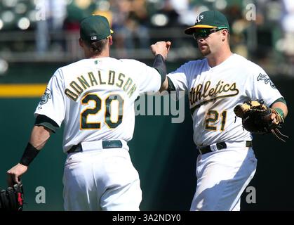 2 août 2014 - Oakland, CA, USA - Josh Donaldson (20 ans) et Stephen Vogt (21 ans) des Oakland Athletics célèbrent une victoire de 8-3 contre les Kansas City Royals au O.co Coliseum à Oakland, Calif, le samedi 2 août 2014. Le A gagné, 8-3. (Crédit image : © Anda Chu/MCT/ZUMA Wire) Banque D'Images