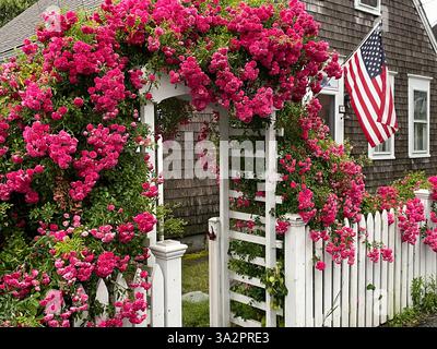Le 4 juillet, un drapeau américain pend d'une maison d'été, entouré de roses rouges en fleurs à Provincetown Massachusetts, sur Cape Cod Banque D'Images
