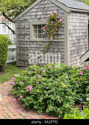 Un petit jardin pousse devant un chalet en bardeaux de cèdre gris un jour d'été Banque D'Images