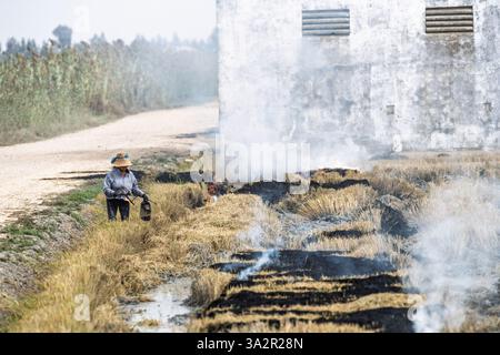 Une personne brûle des résidus de rizières récoltés dans une ferme rurale à Isla Mayor, en Espagne. Banque D'Images