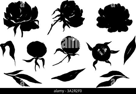 Pivoine fleurs noir silhouettes collection monochrome éléments floraux botaniques illustration vectorielle Illustration de Vecteur