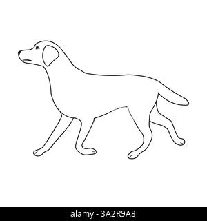 Vecteur plat Labrador retriever chien isolé sur fond blanc Illustration de Vecteur