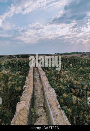 Ancien aqueduc traversant le paysage de Larnaca, Chypre, encadré par de hauts roseaux et un ciel spectaculaire. Banque D'Images