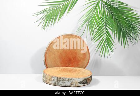 Fond abstrait minimal pour la présentation des produits cosmétiques. Podium vide Premium avec scie de bouleau en bois coupé et ombres de feuilles tropicales, ECO Banque D'Images