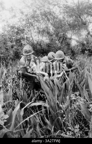 Membres de la compagnie B, 4e bataillon, 12e d'infanterie, 199e brigade d'infanterie, transportant un membre blessé de la compagnie du champ pendant un combat de feu, district de Lhu Duc, Vietnam, U.S. Army signal corps, 14 octobre 1967 Banque D'Images