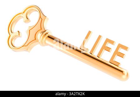 Clé de la vie, concept. Rendu 3D isolé sur fond blanc Banque D'Images