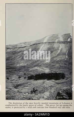 La désolation des montagnes autrefois très boisées du Liban est soulignée par le bosquet solitaire de cèdres. Ce bosquet, loin au milieu des neiges, est protégé par un mur et contient quatre cents arbres très vieux de ' la Terre Sainte et la Syrie ' par Carpenter, Frank G. (Frank George), 1855-1924 publié Garden City, N. Y., Doubleday, page & Company 1922 Banque D'Images