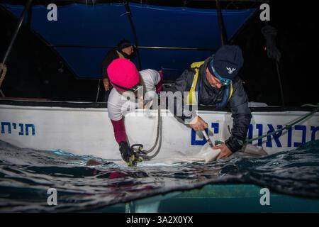 Des chercheurs examinent et étiquettent un requin de sable (Carcharhinus plumbeus) dans la mer Méditerranée. Ces dernières années, ce requin est devenu plus com Banque D'Images