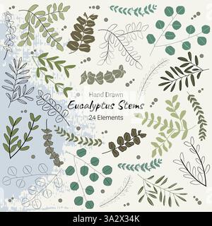 Collection d'éléments de conception vectorielle dessinée à la main organique de plante botanique d'eucalyptus Illustration de Vecteur