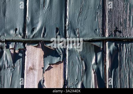 peinture verte pelée d'une façade en planche de bois, avec un câble électrique qui la traverse, également revêtue de la même couche altérée, révélant l'âge Banque D'Images