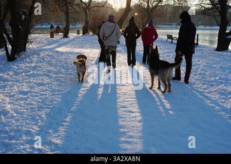 Bucarest, Roumanie – 23 février 2025 : les gens promenant leurs chiens sur des sentiers de neige battus dans un parc dans un froid après-midi d’hiver Banque D'Images