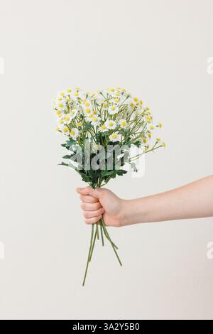 Une main tenant un bouquet de marguerites blanches et jaunes fraîches. Banque D'Images