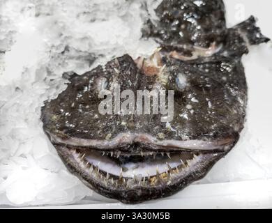 Détail de poisson frais à un marché de la ville, nourriture saine Banque D'Images