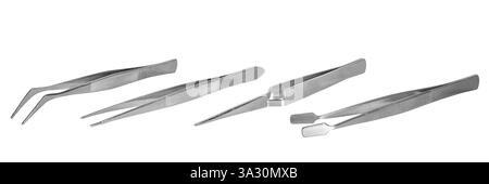 Différents types de brucelles en acier inoxydable sont affichés, présentant leurs pointes de précision pour diverses tâches dans l'artisanat et le travail en laboratoire. Banque D'Images