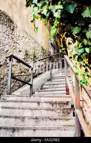 Escalier urbain encadré par des feuilles de lierre vertes vibrantes, avec des murs en béton texturé, des rampes en métal rouillé et des graffitis subtils, capturant le charme d'un Banque D'Images