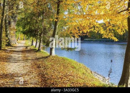 Chemin autour de l'étang du château en automne, parc du château de Schloss Hermsdorf, Ottendorf-Ockrilla, Saxe, Allemagne, Europe Banque D'Images