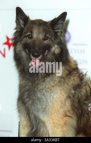 31 mai 2000 - Scarborough, North Yorkshire, Angleterre - WELL'ARD. ACTEUR ''EASTENDERS''...31/05/2000.BA38F10AC(crédit image : © Globe photos/ZUMAPRESS.com) Banque D'Images