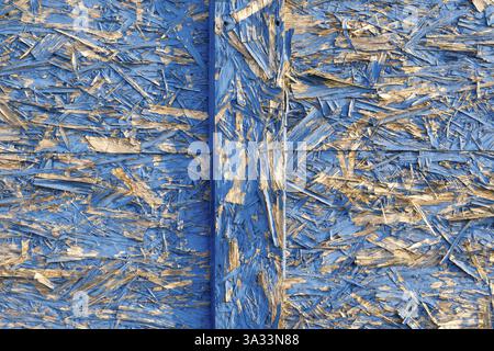Vue détaillée d'une vieille porte Langerhall bleue altérée dans la lumière du soir, Bremerhaven, Brême, Allemagne, Europe Banque D'Images