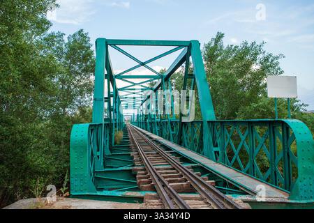 Un vieux pont de chemin de fer vert avec de la rouille et des intempéries s'étend sur un feuillage luxuriant, illustrant un mélange d'histoire et de nature. Banque D'Images