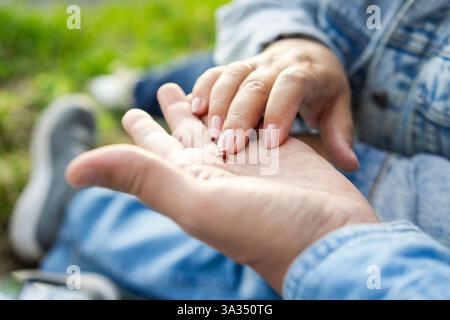 Un gros plan d'un couple d'aînés touchant doucement une coccinelle sur leurs mains ouvertes. L'arrière-plan montre une zone herbeuse, renforçant un sentiment de nature et de tranq Banque D'Images