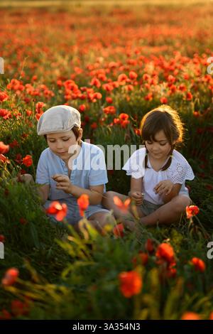 Un garçon et une fille, frères et sœurs, sont assis au milieu d'un champ luxuriant de Papaver rhoeas, communément appelés coquelicots rouges ou coquelicots communs. Ils sont capturés dans le gl souple Banque D'Images