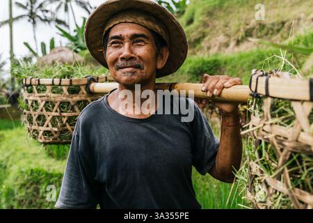 Un homme balinais souriant portant un chapeau traditionnel transporte des outils de récolte traditionnels dans un champ de riz verdoyant et luxuriant à Bali, en Indonésie, mettant en vedette un smi Banque D'Images