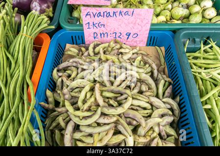 Pile de Vicia faba tranchée, fèves, dans un panier bleu, avec une étiquette de prix, Little India Brickfields, Kuala Lumpur, Malaisie. Banque D'Images