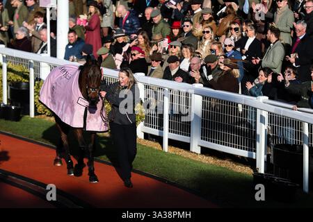 Cheltenham, Royaume-Uni. 14 mars 2025. Inothewayurthinkin après avoir remporté la Gold Cup lors du Cheltenham Festival 2025 Gold Cup Day à Cheltenham Racecourse, Cheltenham, Royaume-Uni, le 14 mars 2025 (photo par Gareth Evans/News images) à Cheltenham, Royaume-Uni le 14/03/2025. (Photo de Gareth Evans/News images/SIPA USA) crédit : SIPA USA/Alamy Live News Banque D'Images