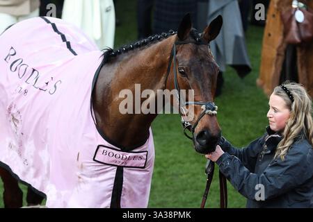 Cheltenham, Royaume-Uni. 14 mars 2025. Inothewayurthinkin après avoir remporté la Gold Cup lors du Cheltenham Festival 2025 Gold Cup Day à Cheltenham Racecourse, Cheltenham, Royaume-Uni, le 14 mars 2025 (photo par Gareth Evans/News images) à Cheltenham, Royaume-Uni le 14/03/2025. (Photo de Gareth Evans/News images/SIPA USA) crédit : SIPA USA/Alamy Live News Banque D'Images