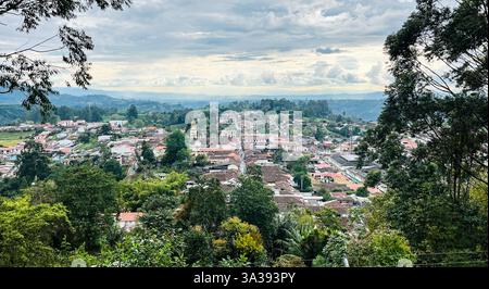 Vue aérienne à travers les arbres de la ville de Salento, Quindío, Colombie. Café et région touristique Banque D'Images