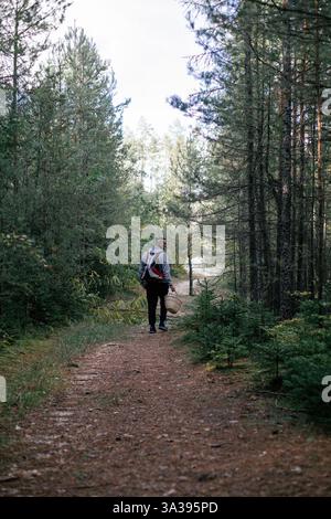 Randonneur explorant un sentier boisé paisible entouré de grands arbres par une journée ensoleillée Banque D'Images