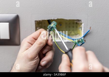 Électricien connectant les fils à l'aide d'un bloc de connexion et d'un tournevis Banque D'Images