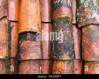 Gros plan de quelques tuiles sur le toit d'une maison, avec beaucoup de texture et humide de la pluie. Banque D'Images