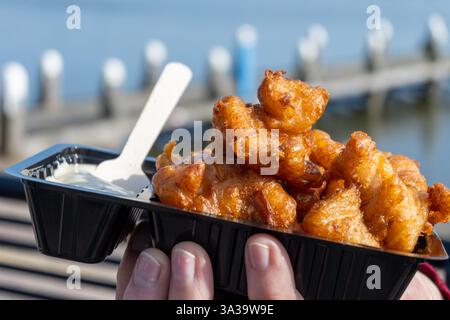 Kibbeling collation hollandaise, morceaux de poisson frits, servis avec une sauce à l'ail à base de mayonnaise ou une sauce tartare, poisson de la mer du Nord, goûtez o Banque D'Images