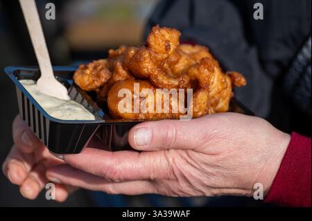 Kibbeling collation hollandaise, morceaux de poisson frits, servis avec une sauce à l'ail à base de mayonnaise ou une sauce tartare, poisson de la mer du Nord, goûtez o Banque D'Images