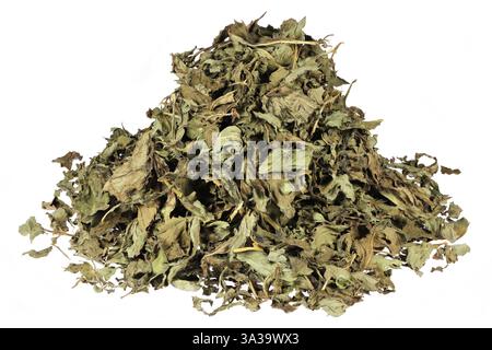 feuilles de thé à la menthe poivrée isolées sur fond blanc Banque D'Images