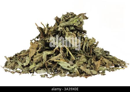 feuilles de thé à la menthe poivrée isolées sur fond blanc Banque D'Images