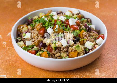 Salade de tomates Farro maison saine aux herbes et à la feta Banque D'Images