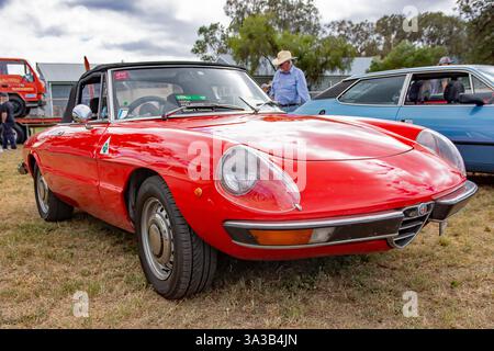 Vue de face d'une Alfa Romeo Spider 2000 1972 exposée au Moonbi car Show Australia. Banque D'Images